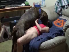 In this savage sex film, the husband allows his big dog to investigate his wife's naughty crack.